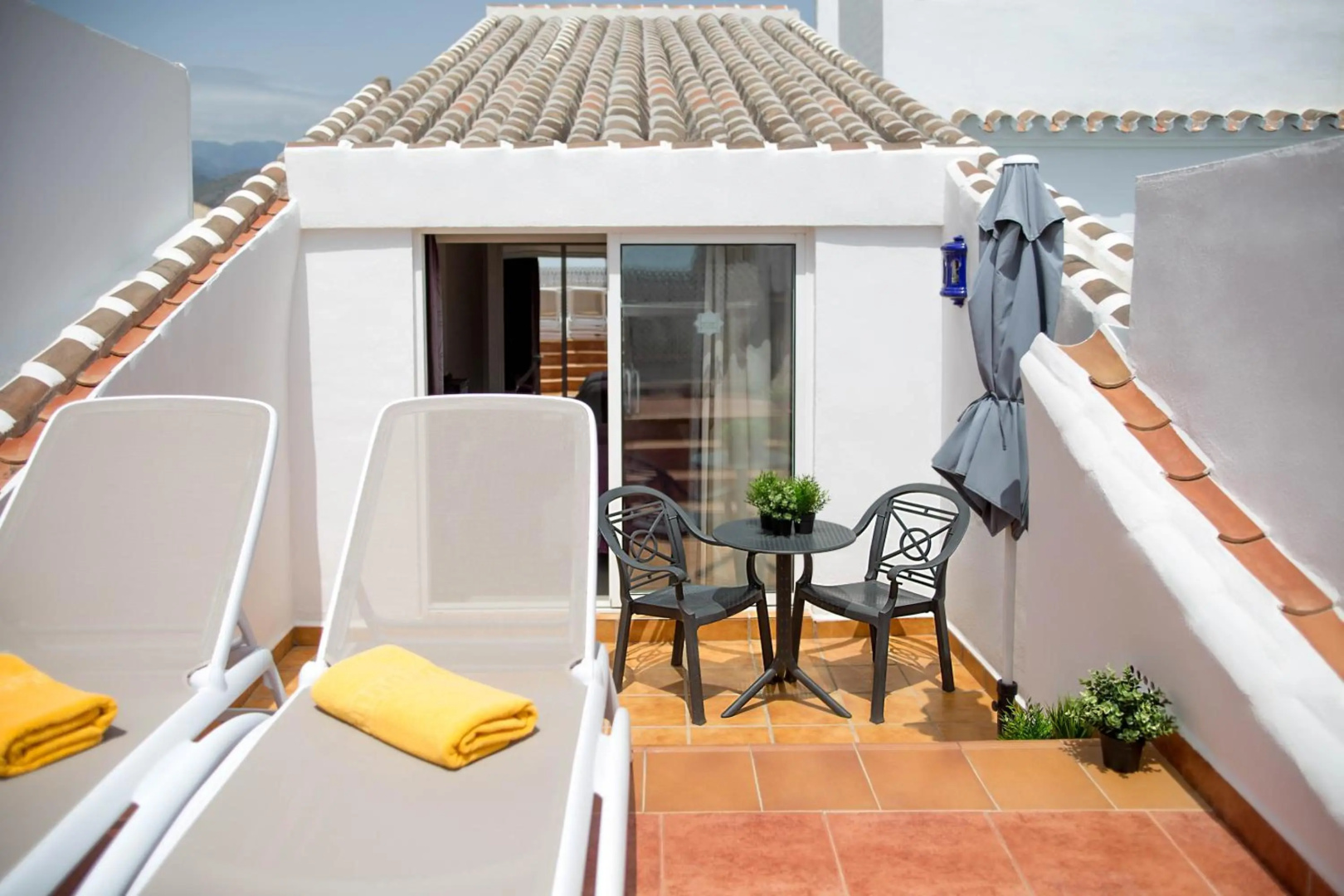 Foto - Hotel Plaza Cavana