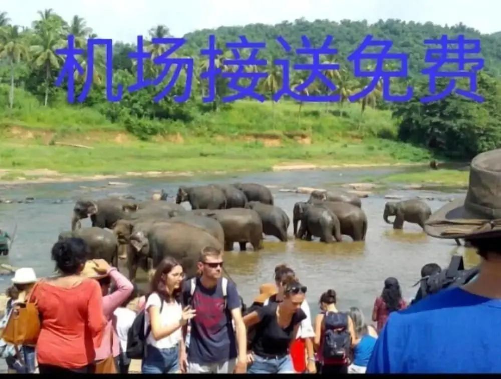 Photo - Sunrise City Palace