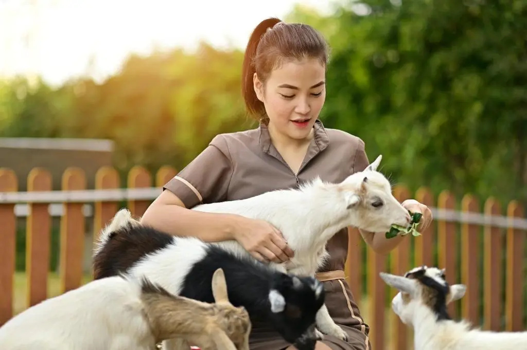 Photo - Moose Hotel Chiangmai