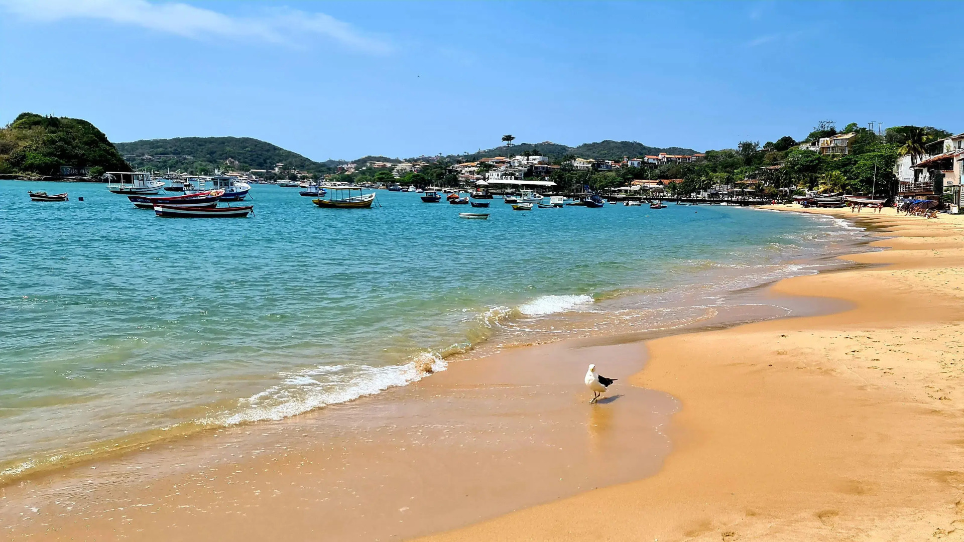 Foto - Taman Búzios Hotel