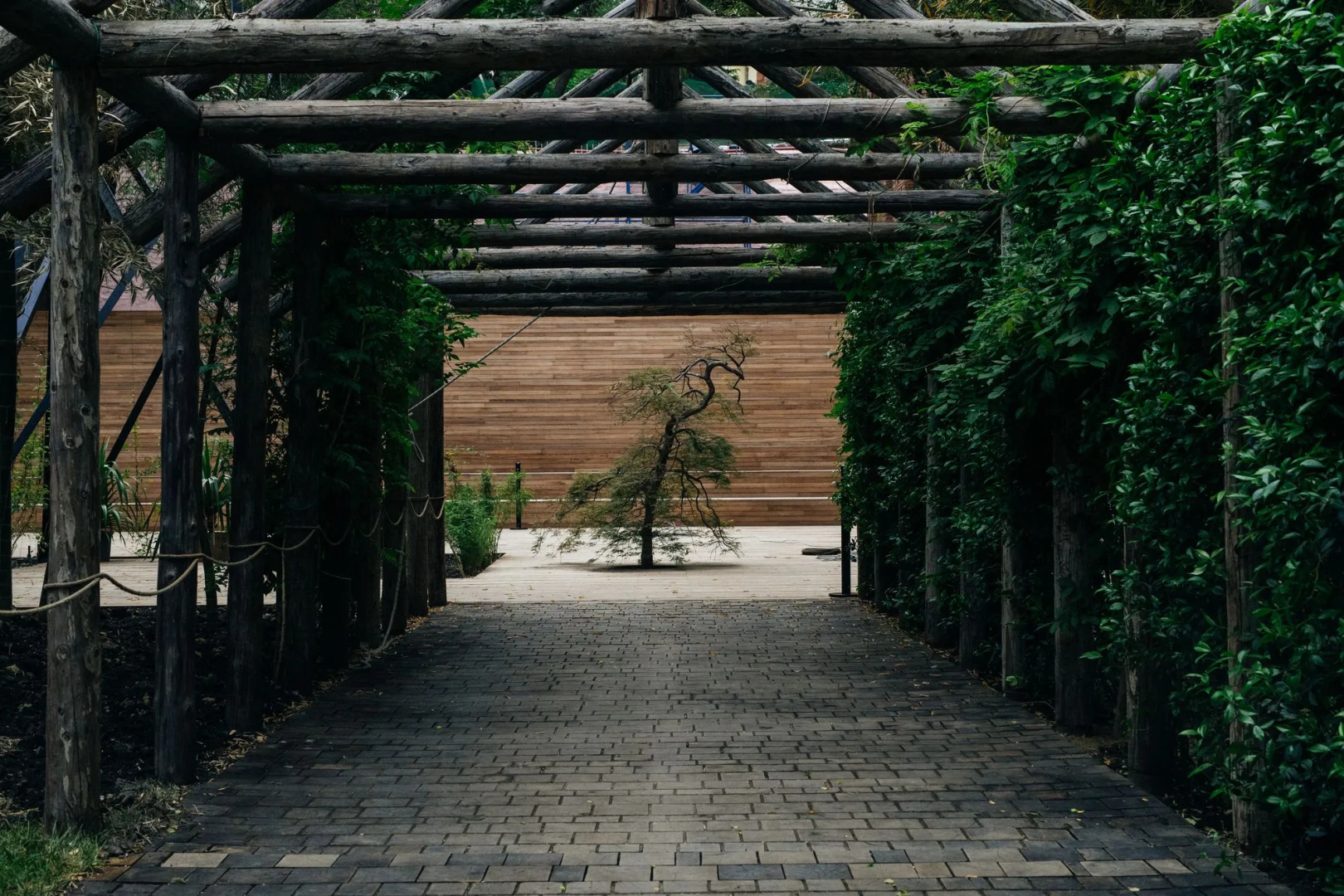 Photo - Stamba Hotel