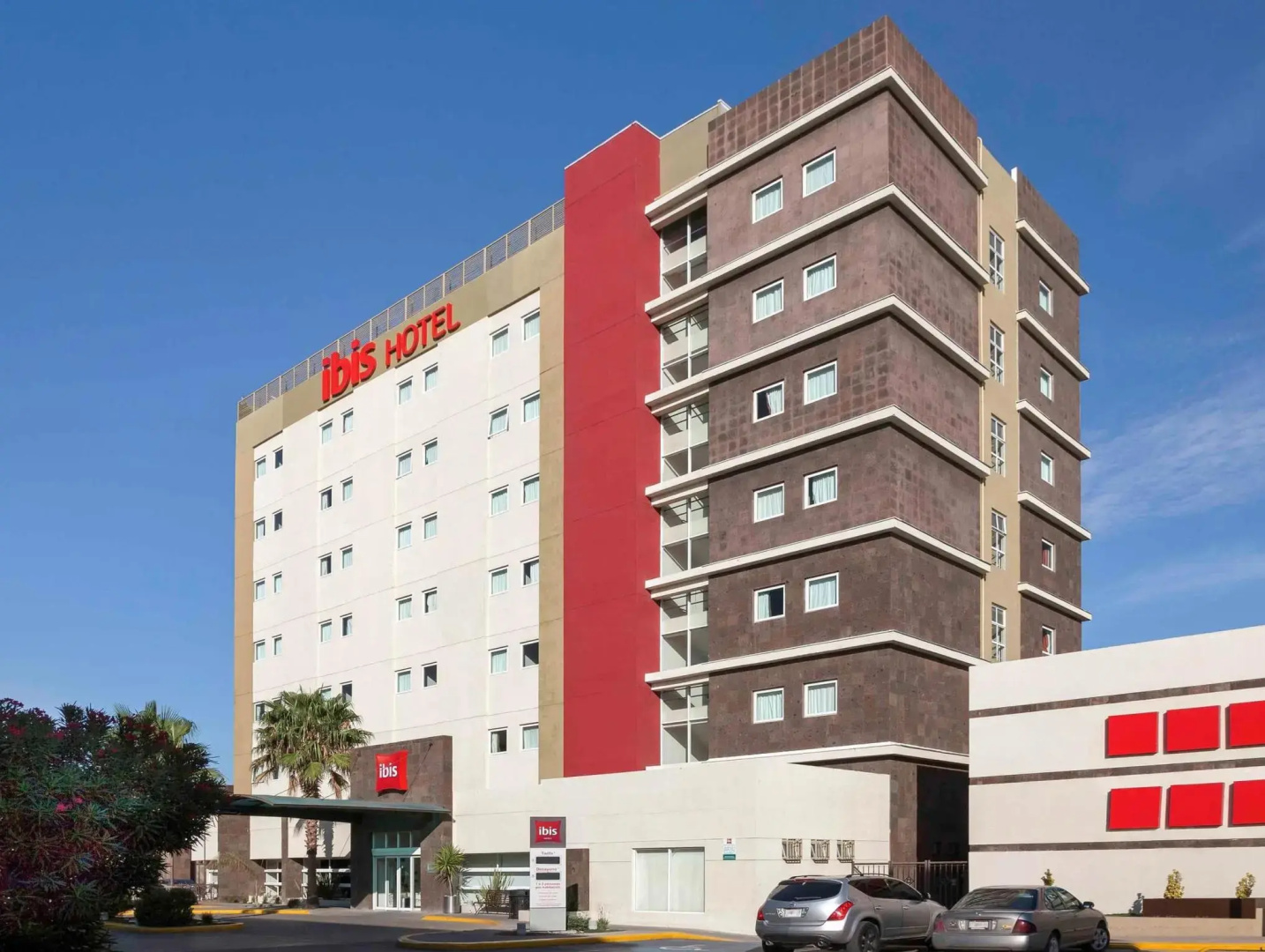 Foto - ibis Chihuahua