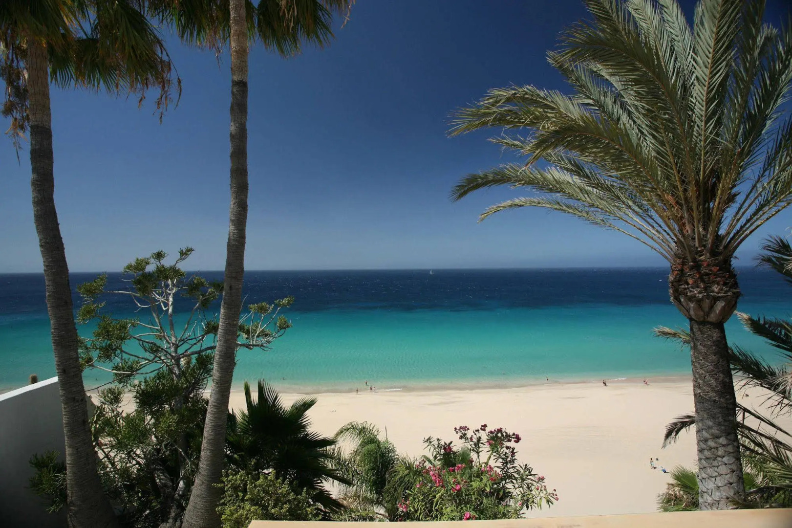 Photo - IFA Altamarena by Lopesan Hotels