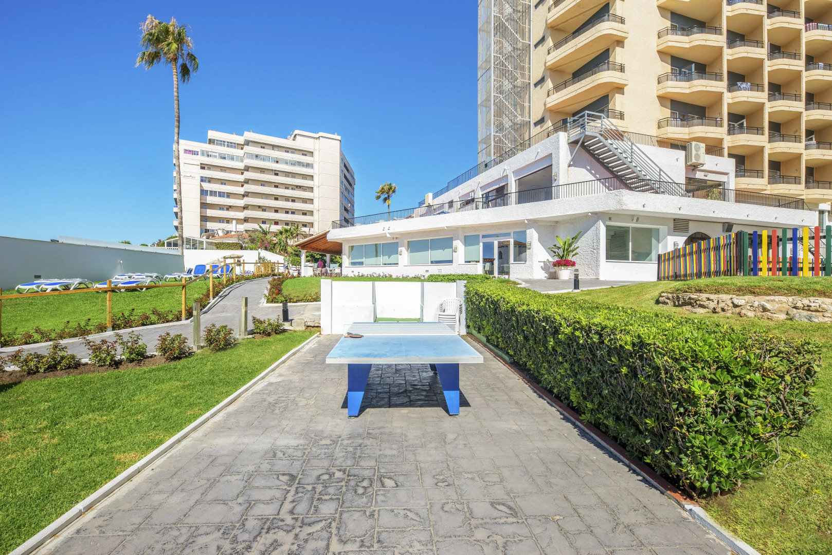 Photo - Globales Gardenia