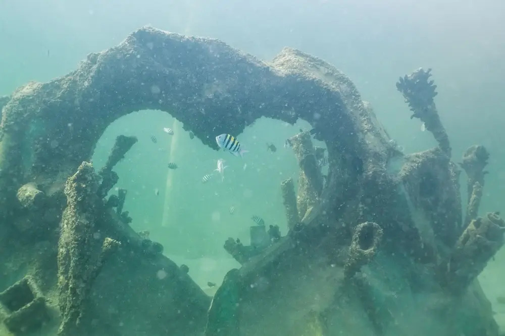 Photo - Divers Paradise Boutique Hotel