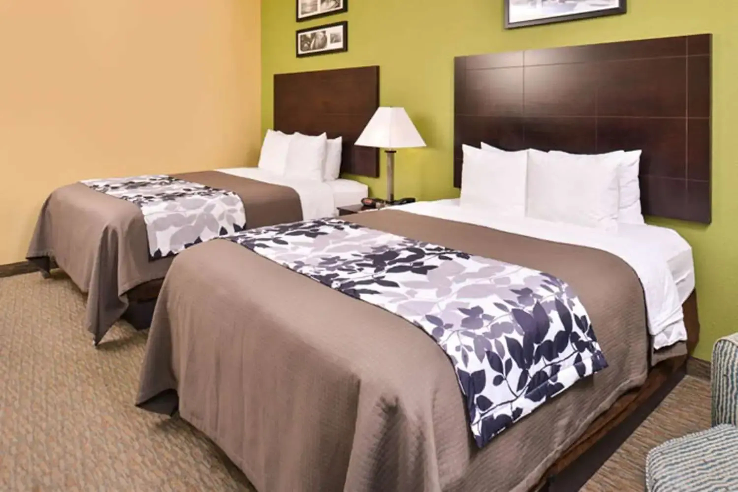 Foto - Sleep Inn & Suites Downtown Houston Near Convention Center