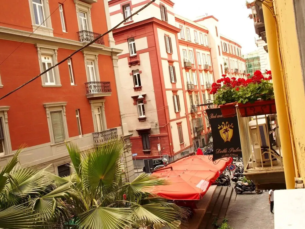 Foto - B&B Delle Palme