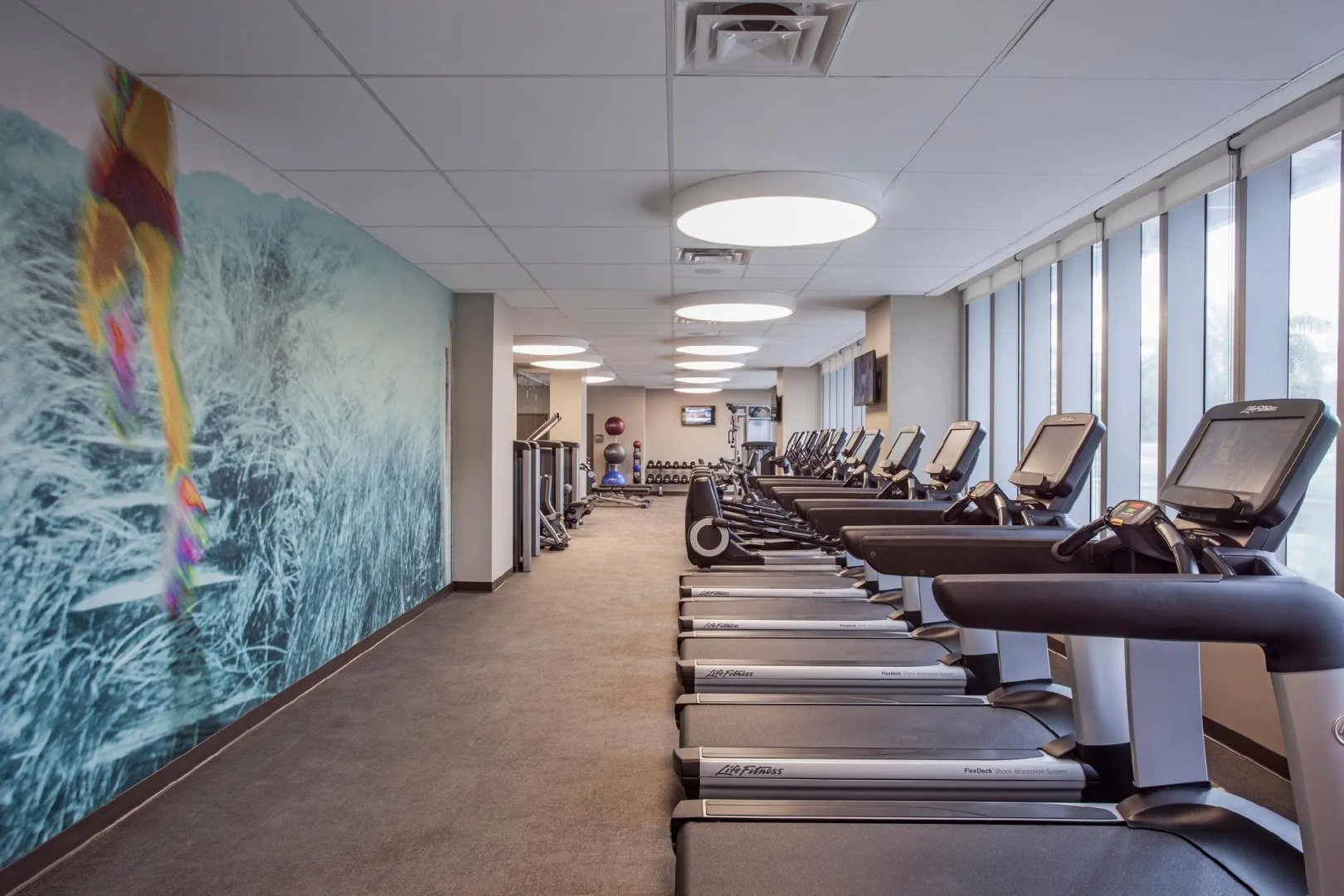 Foto - The Westin Sarasota