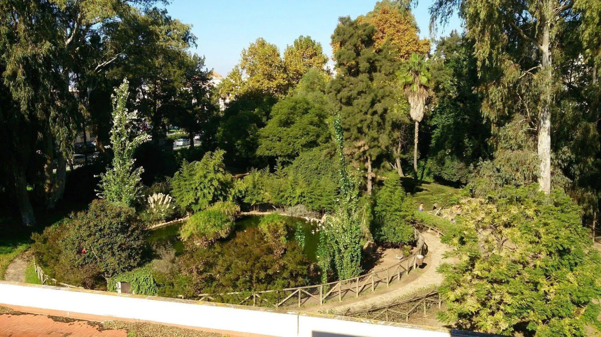 Foto - Hotel Don Diego by Ĥ