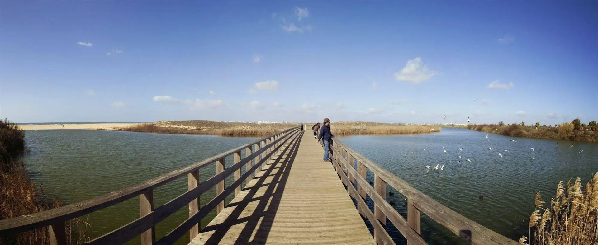 Foto - Bayside Salgados