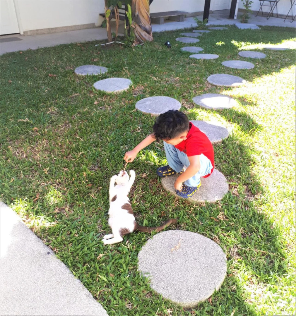 Photo - The Reef Hotel & Studios