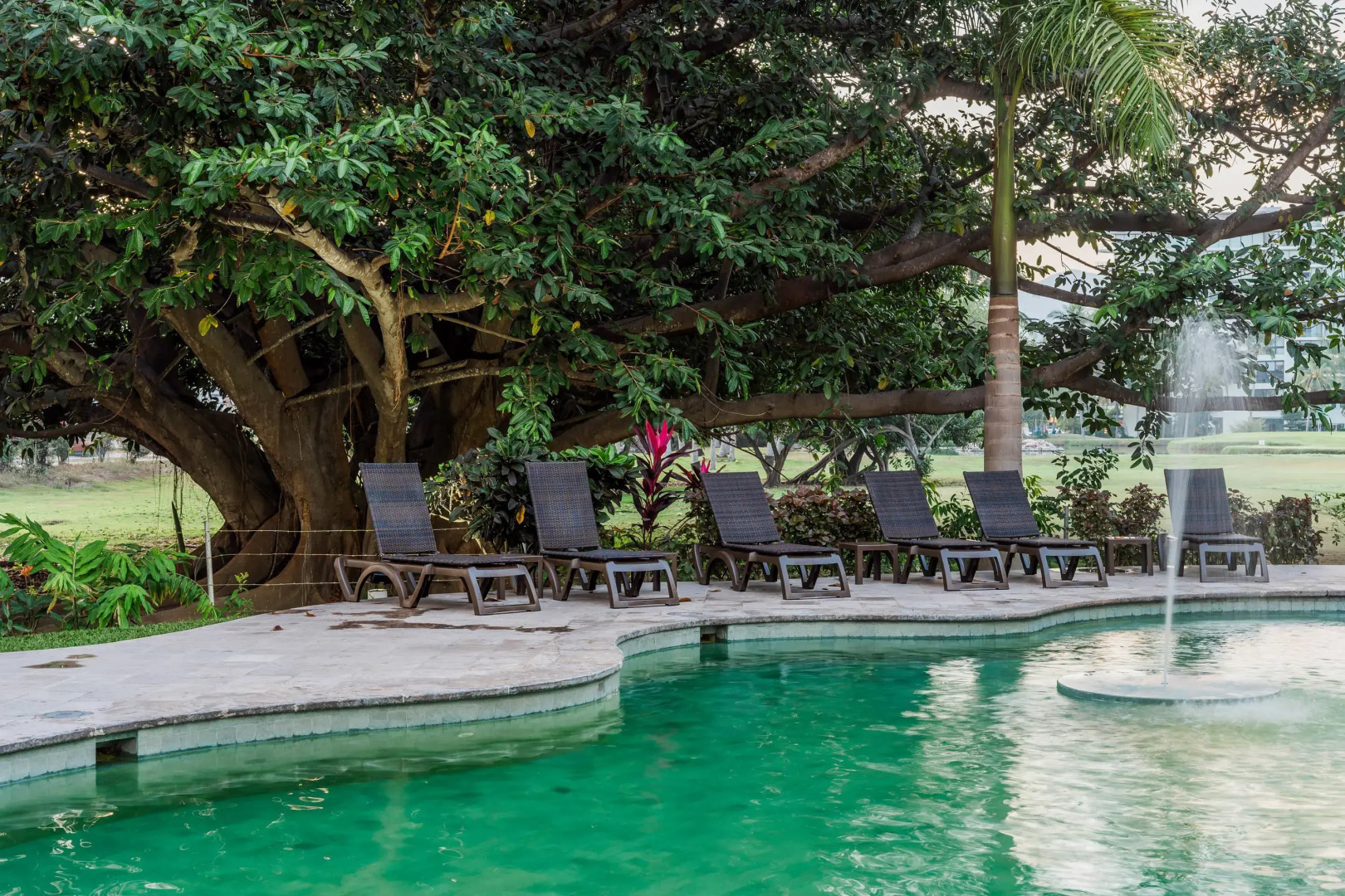 Foto - Comfort Inn Puerto Vallarta Golfside & Marina