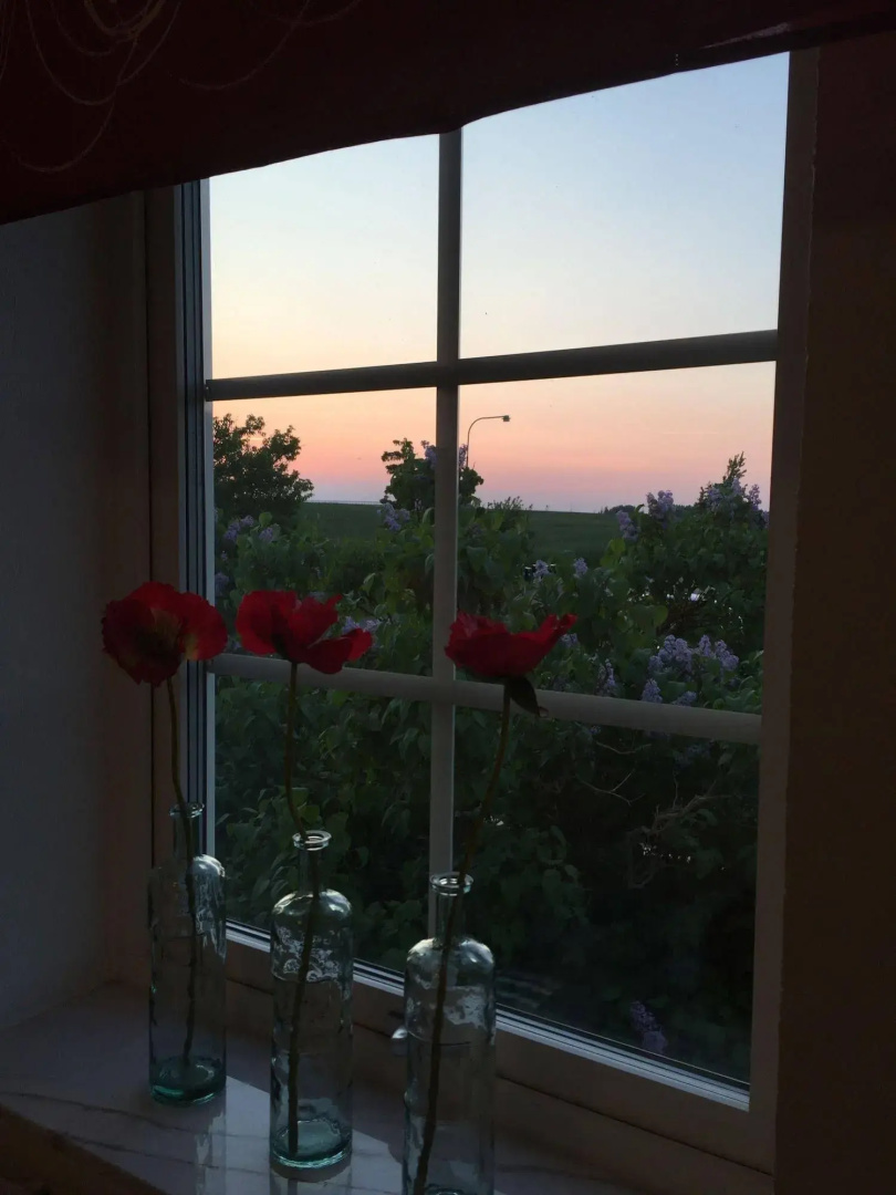 Foto - Hotell Vellingebacken