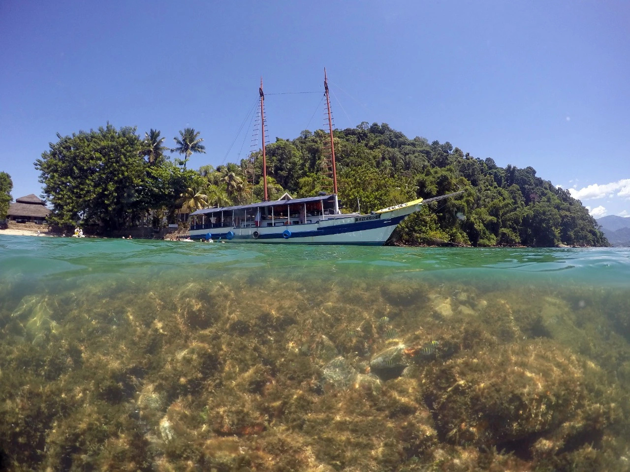 Foto - Samba Angra dos Reis