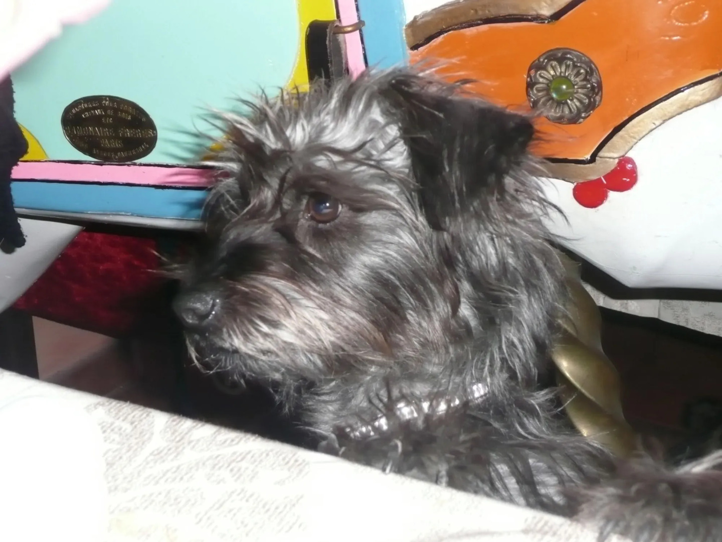 Foto - Hotel Victor Hugo Nice