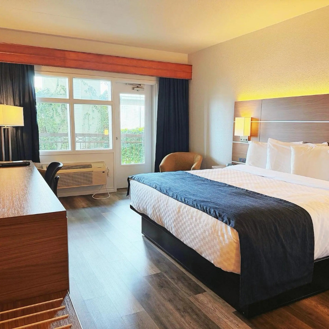 Foto - Hotel L'Oie des neiges
