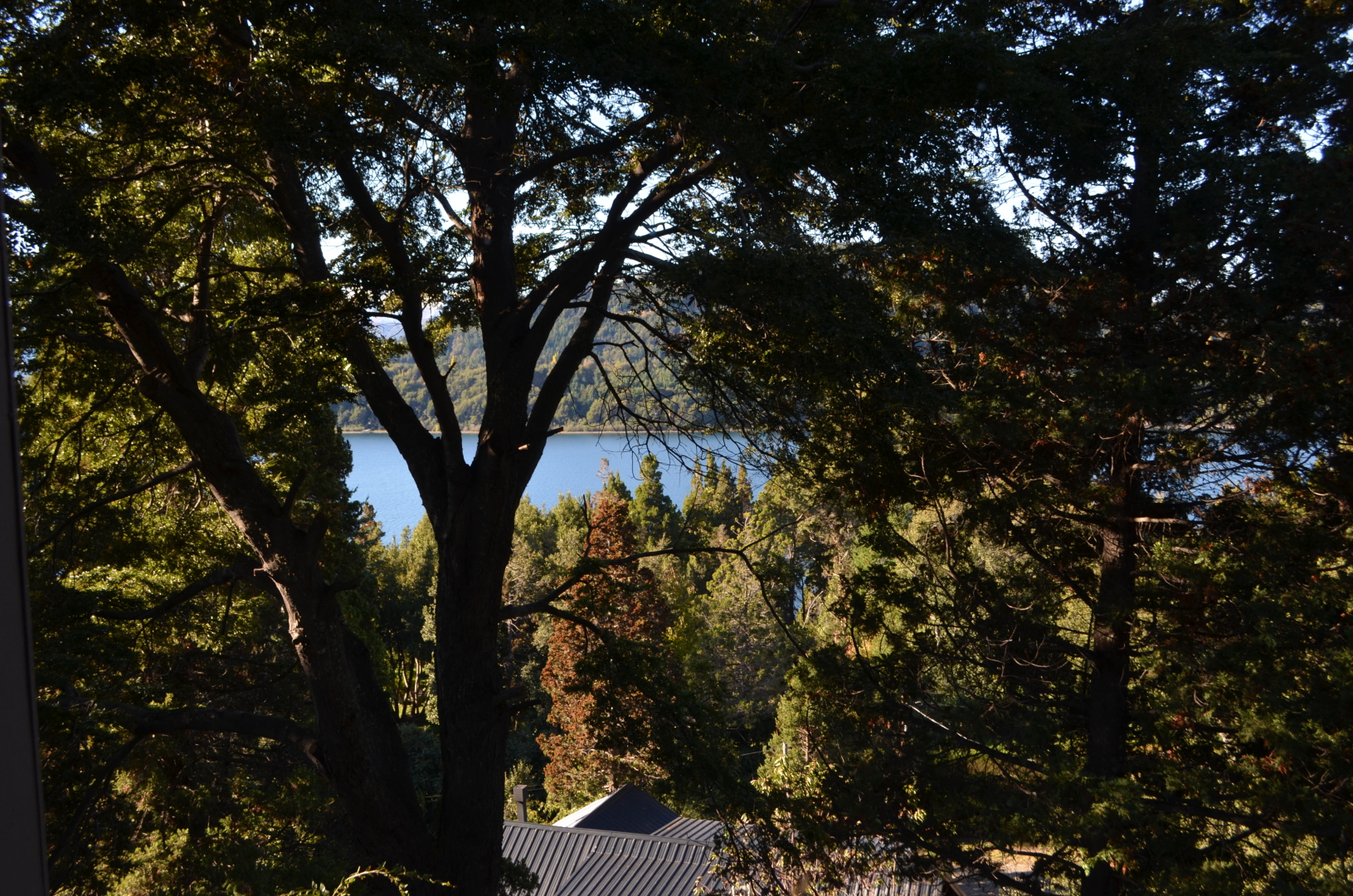 Photo - Boutique Hotel & Spa Bosque del Nahuel