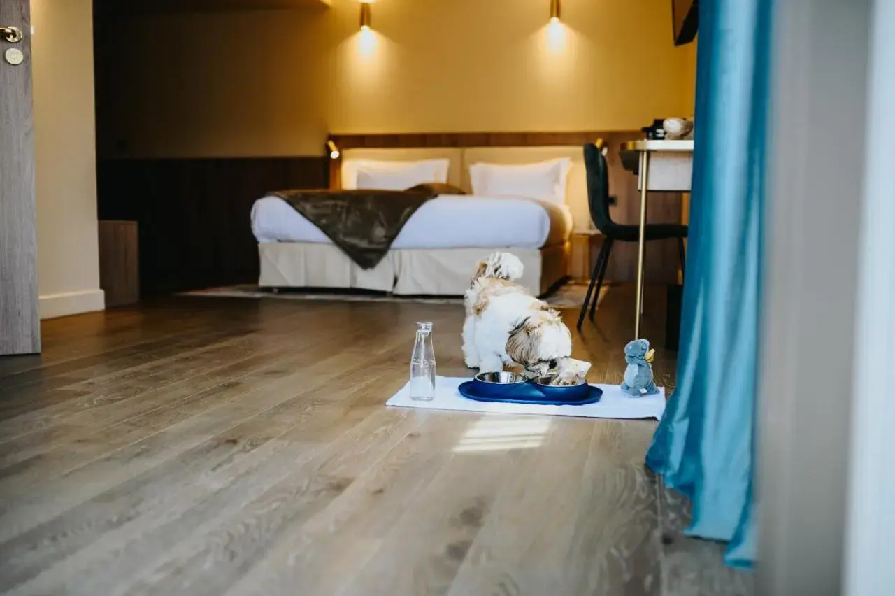Photo - Keystone Hôtel & Spa