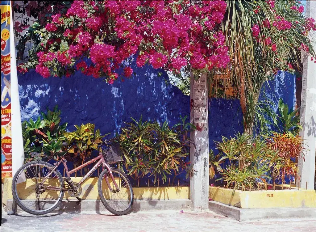 Foto - The Westin Lagunamar Ocean Resort Villas & Spa Cancun