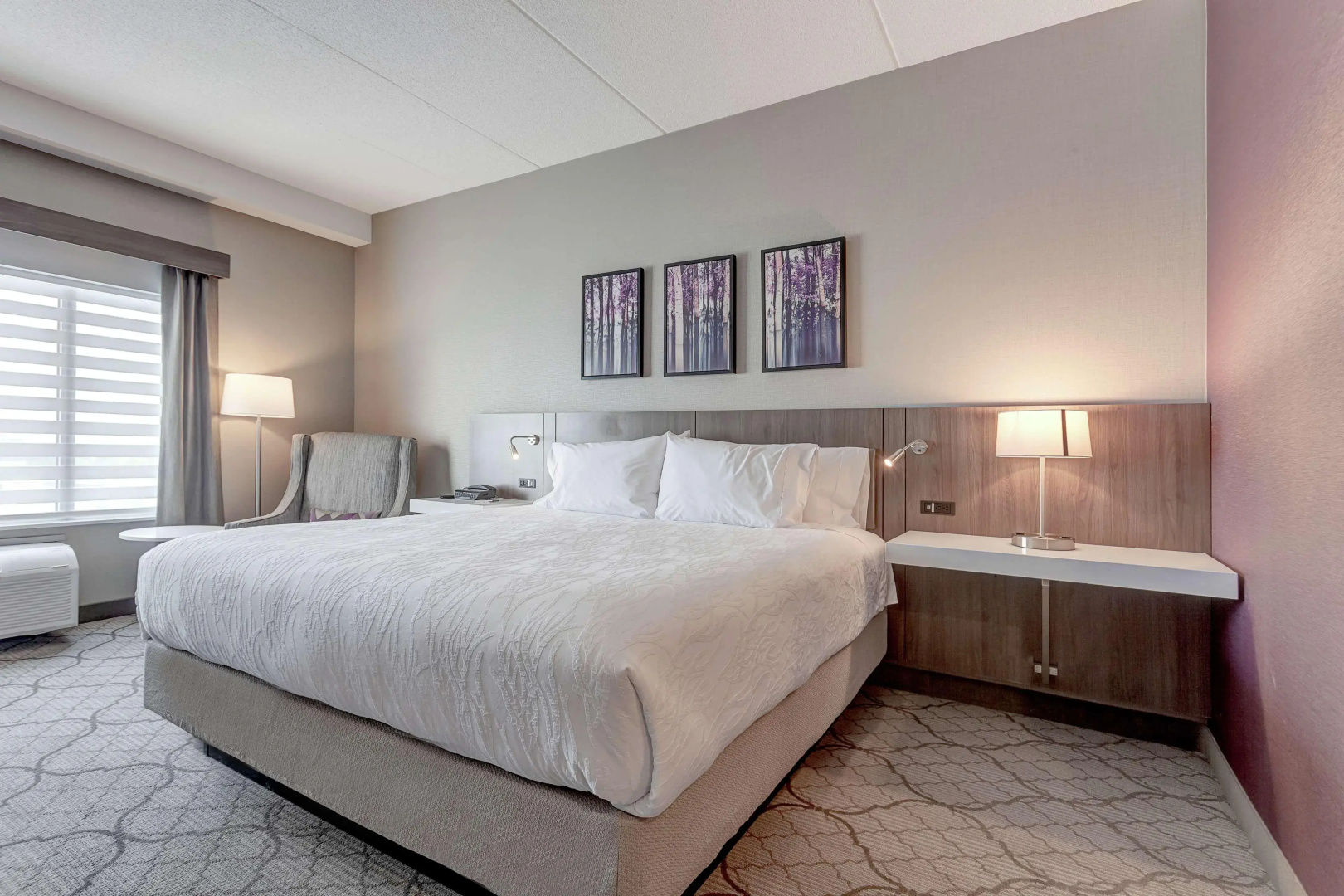 Photo - Hilton Garden Inn Toronto/Brampton West, Ontario, Canada