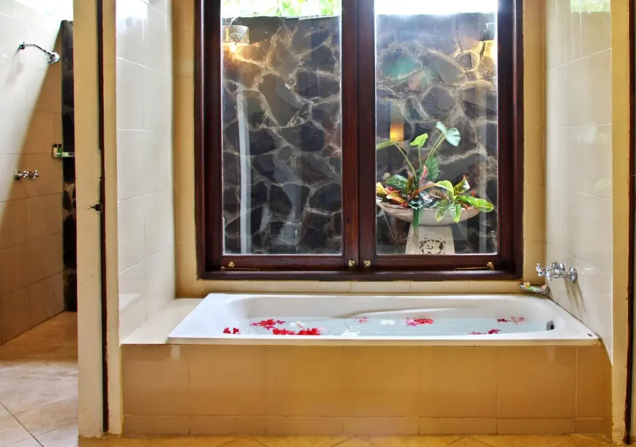 Foto - Peneeda View Beach Hotel