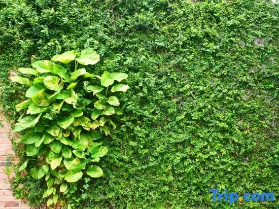 Photo - RYB Hostel Phuket