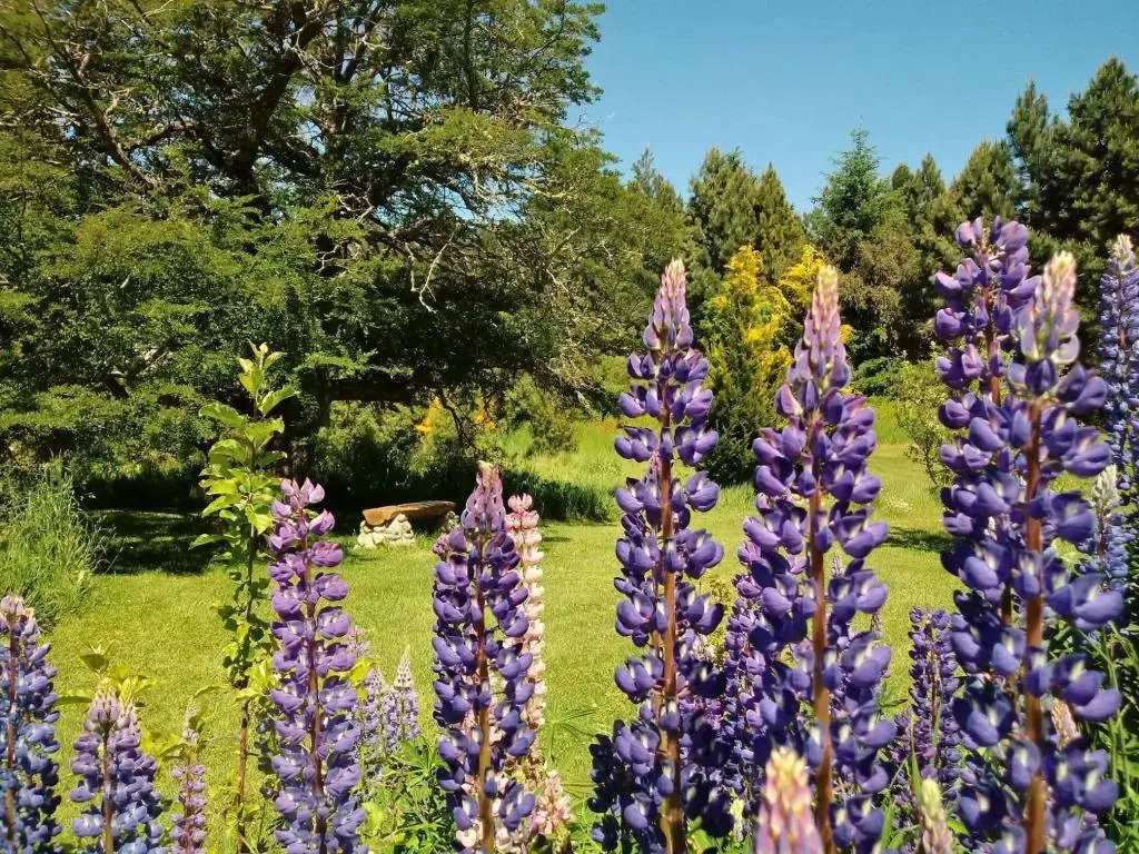 Photo - Cabañas Villa Labrador con costa de lago