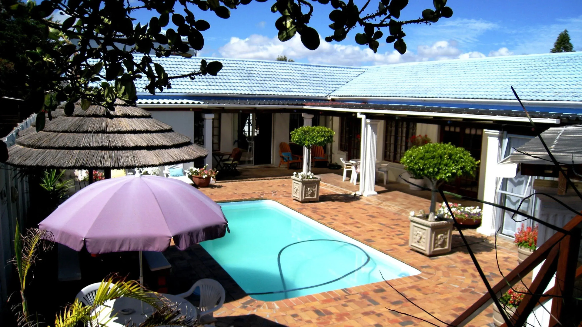 Foto - Dolphin Inn Blouberg