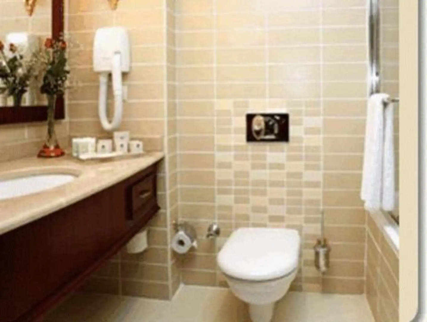 Foto - Latanya Palm & SPA Airport Antalya