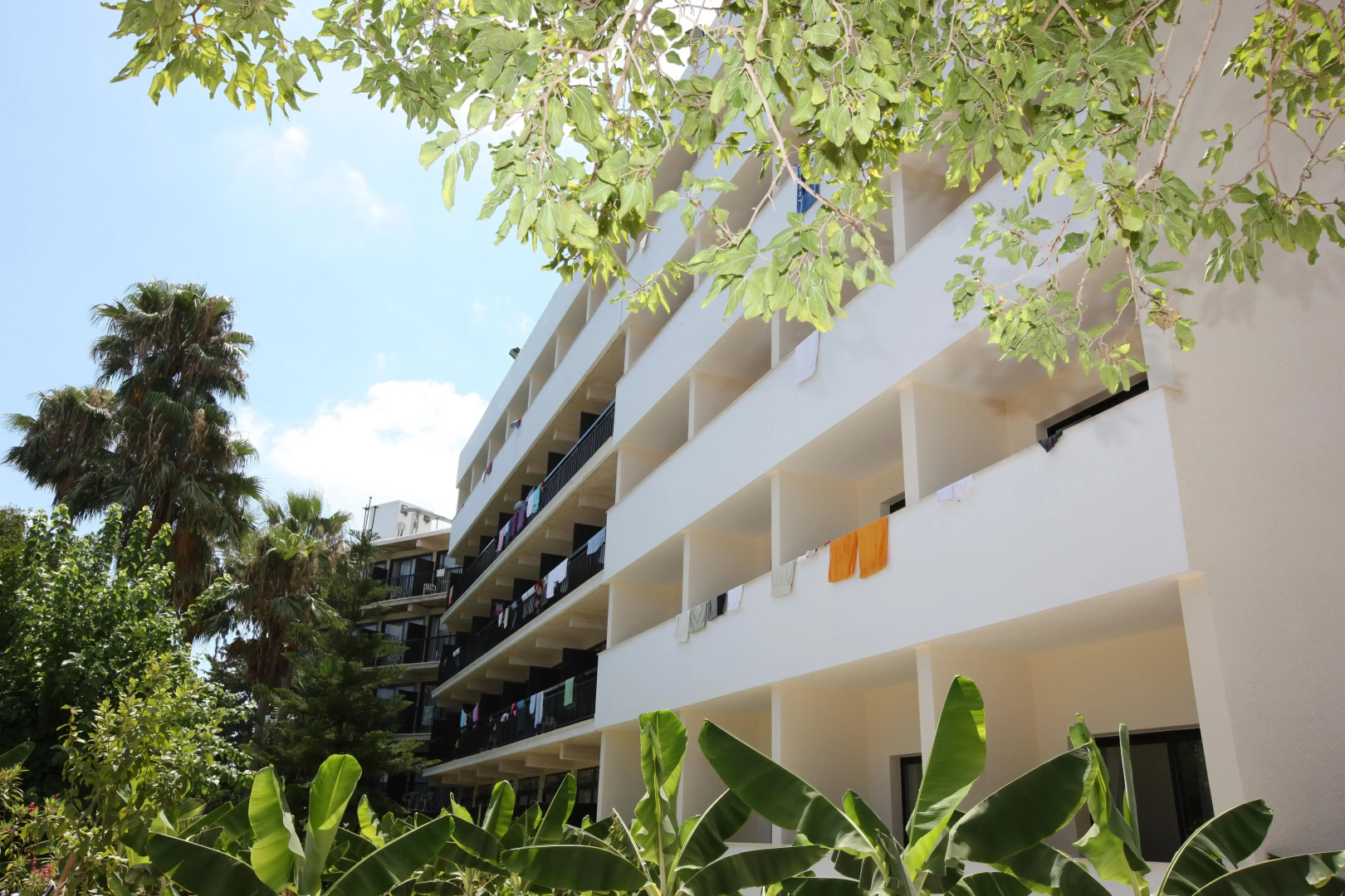 Photo - Veronica Hotel