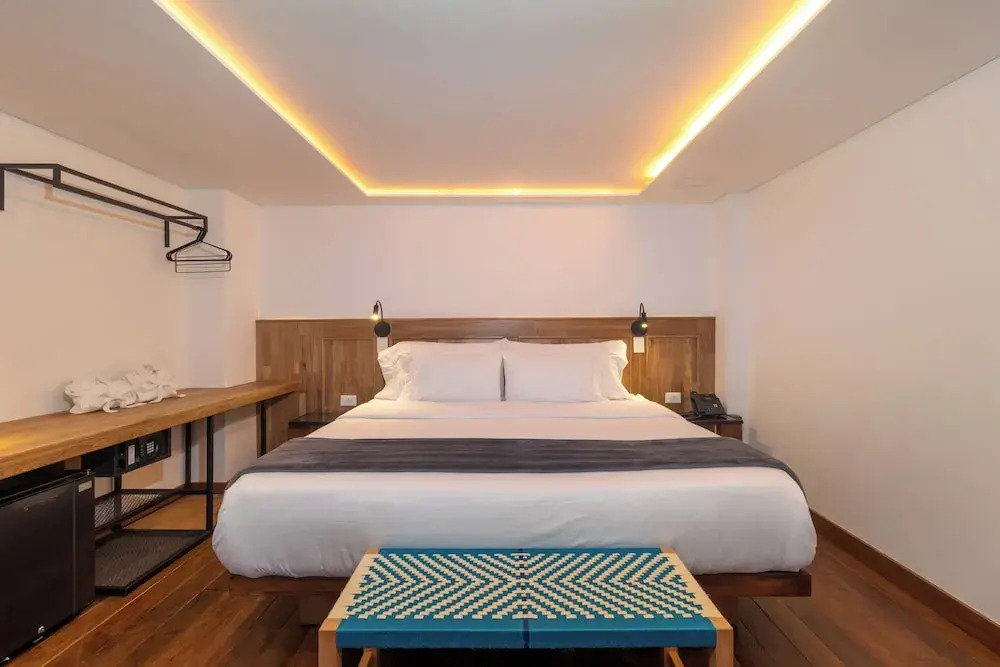 Foto - Camelia by Masaya Collection