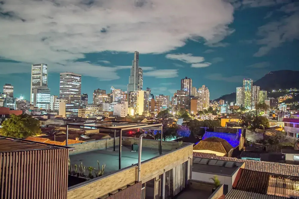 Foto - Camelia by Masaya Collection