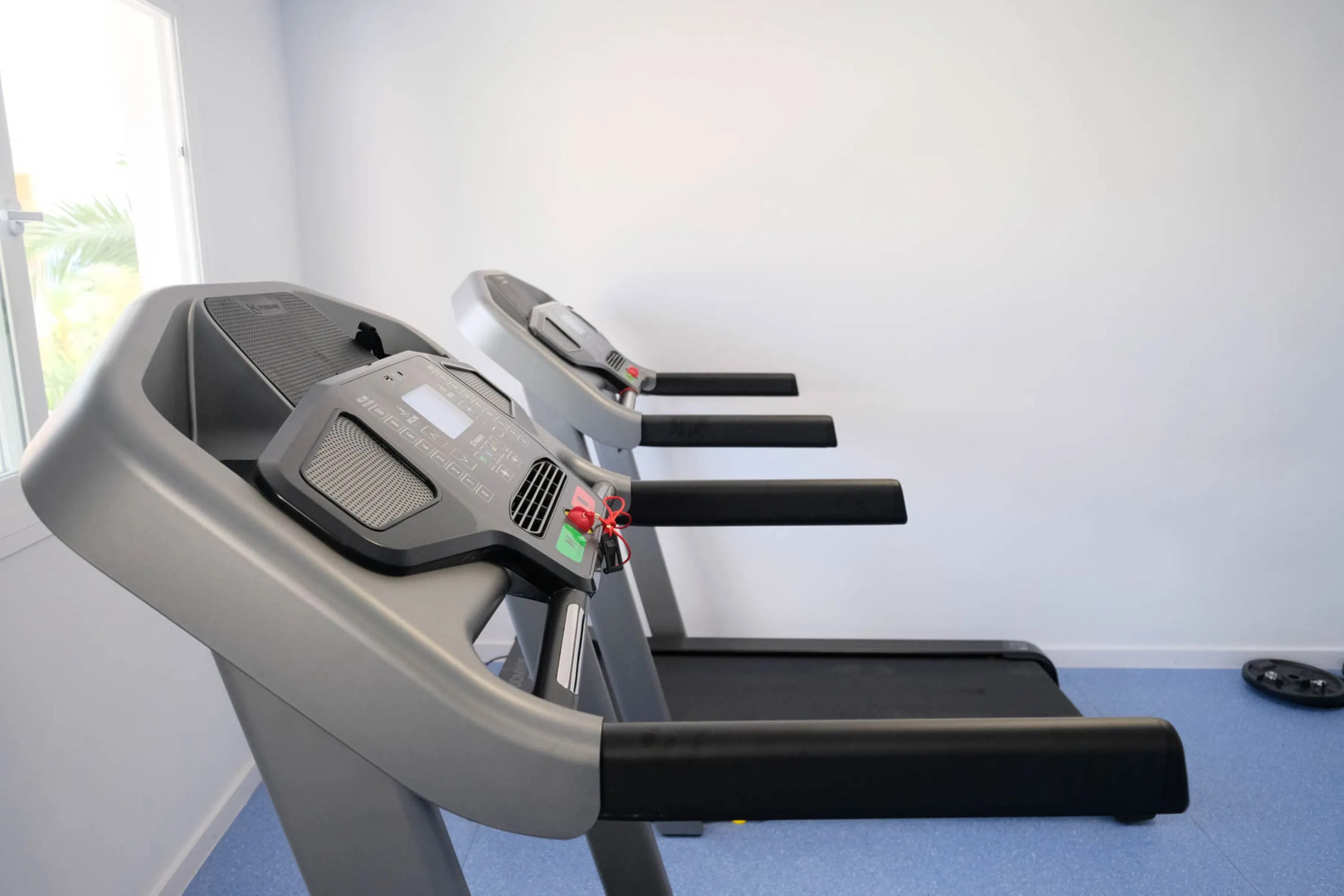 Photo - azuLine Hotel Palmanova Garden