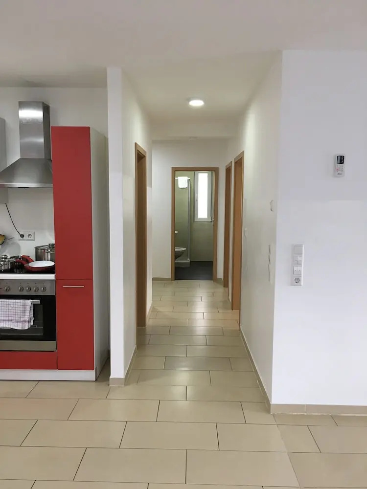 Photo - Sahara Falcon