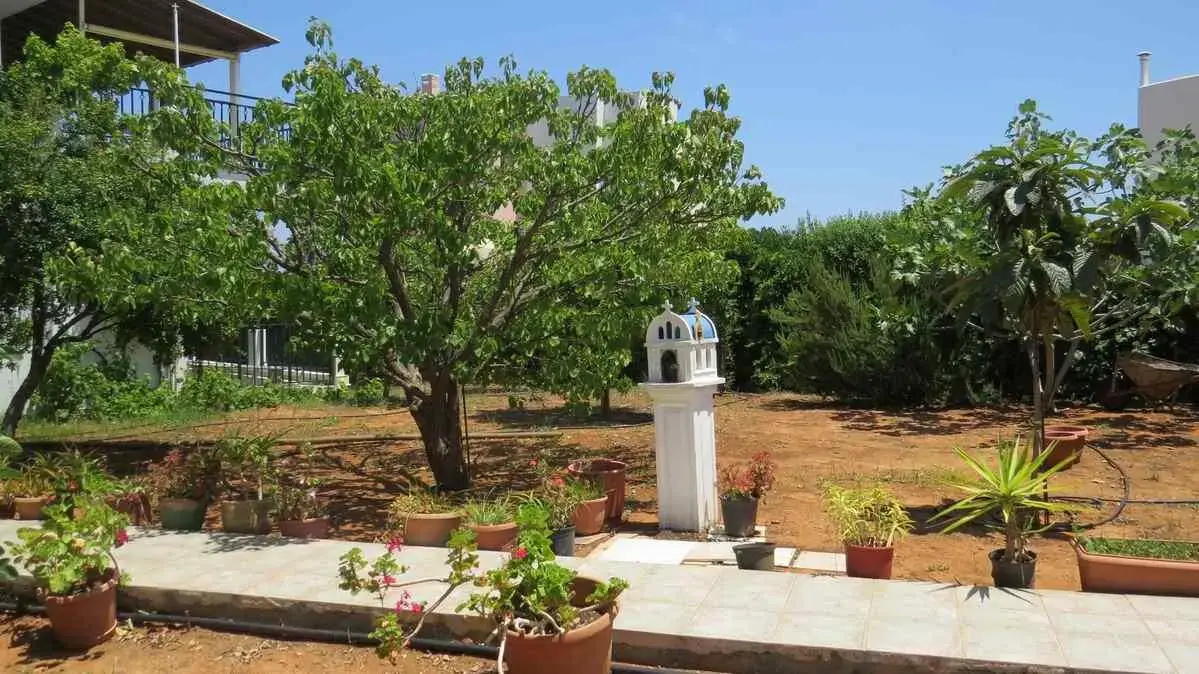 Foto - Villa Medusa