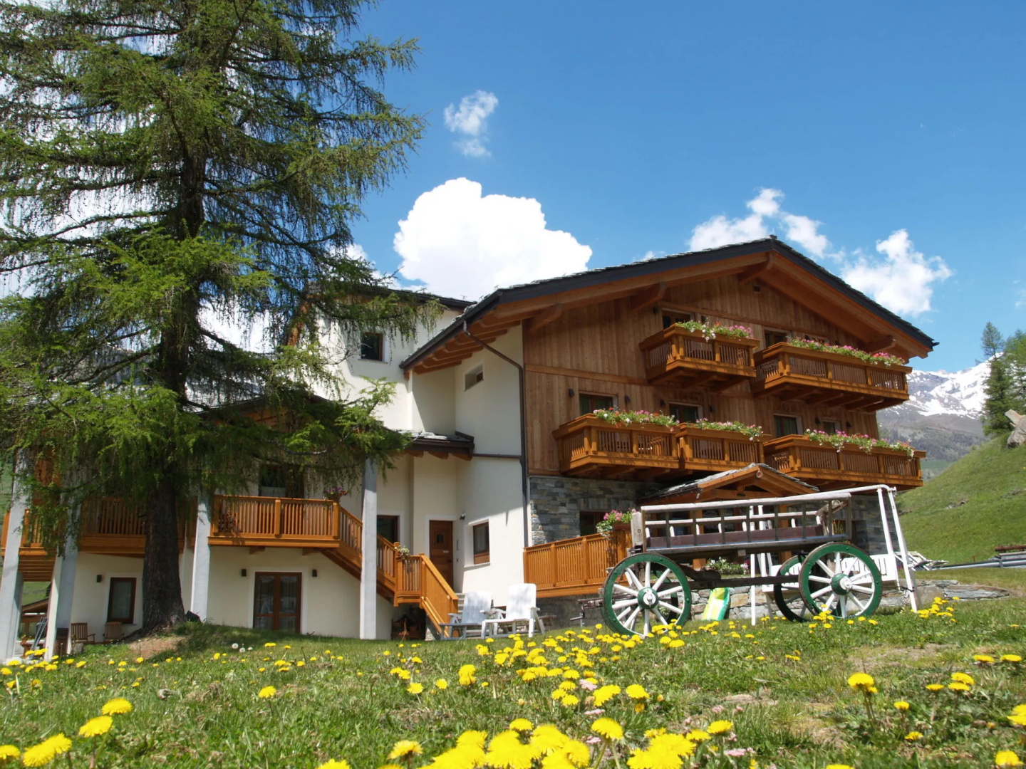 Foto - Albergo Punta Zerbion