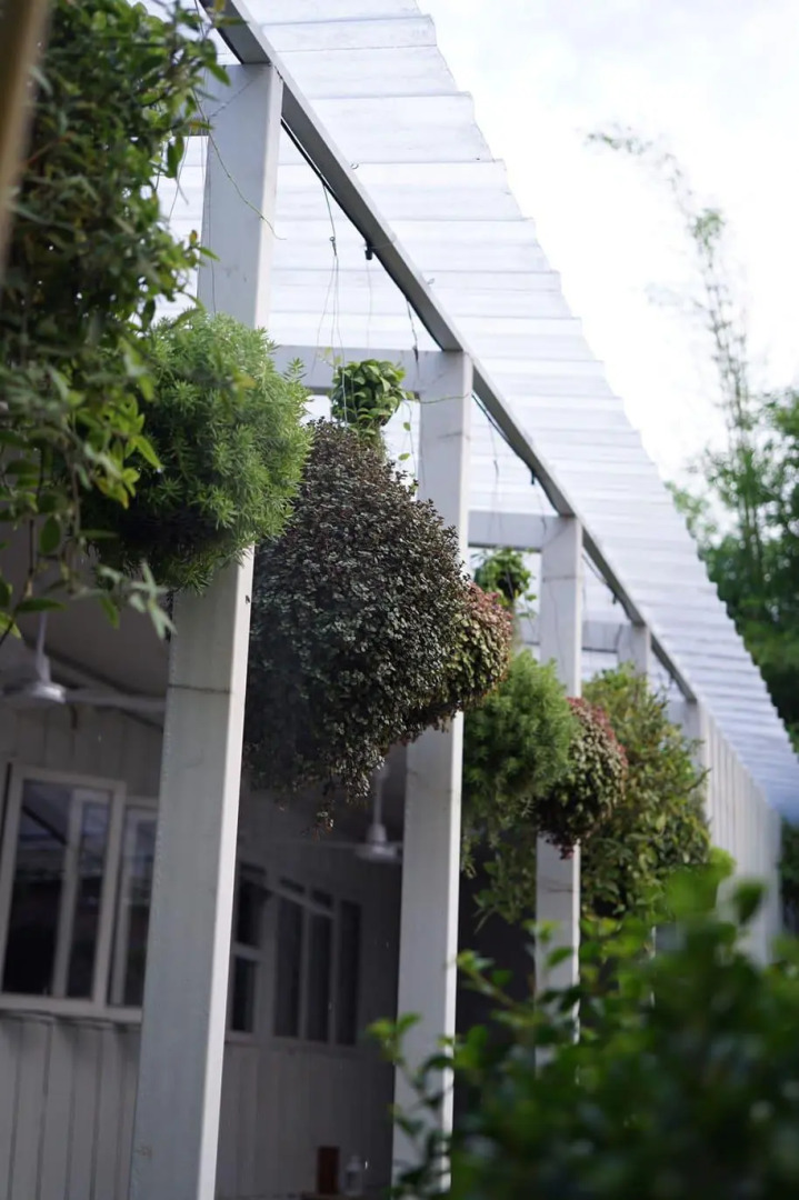 Foto - The PARK Society