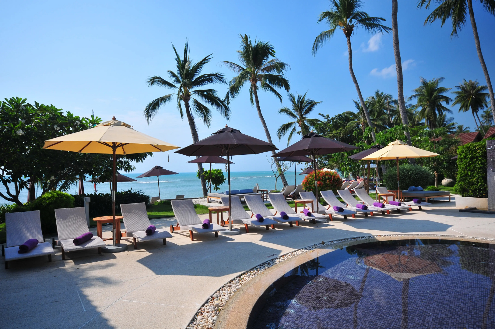 Photo - Thai Fight Hotel