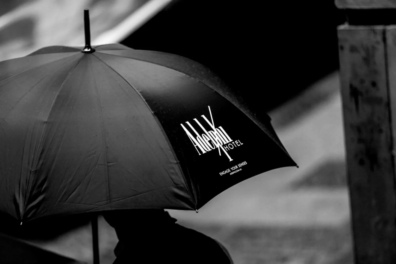 Foto - Adelphi Hotel