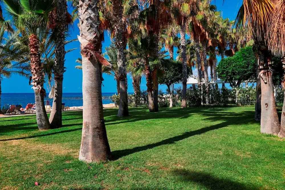 Foto - Louis Phaethon Beach