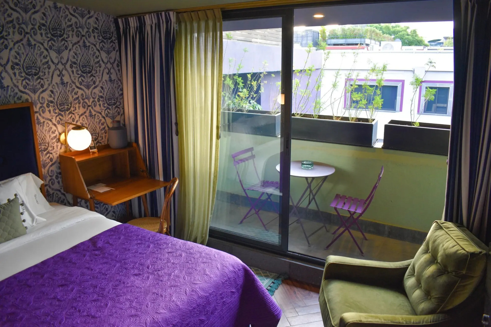 Photo - Pug Seal Polanco Anatole France