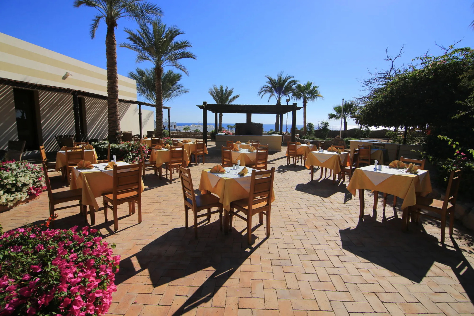 Foto - Club Reef Resort & Spa