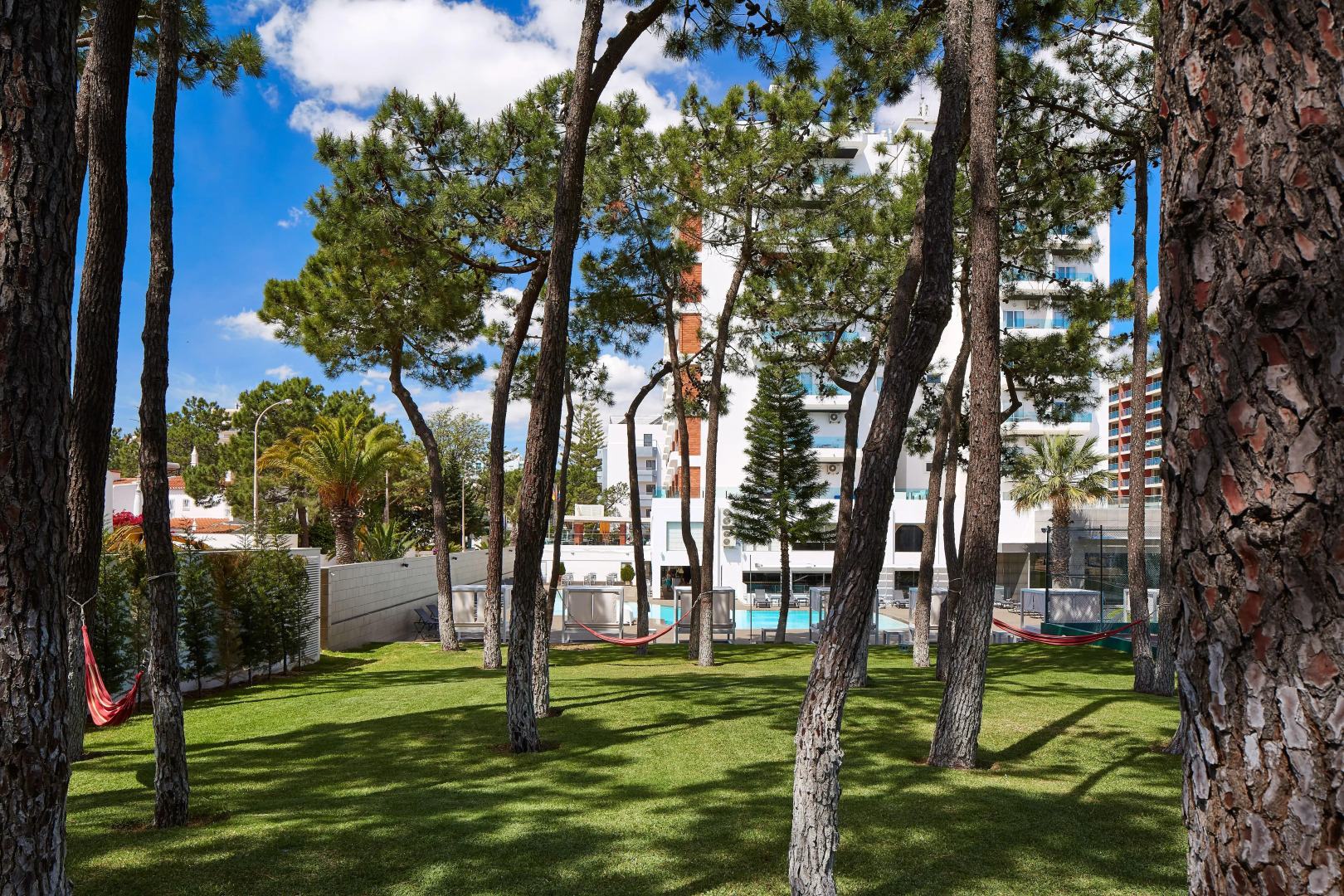 Foto - Alcazar Hotel & SPA