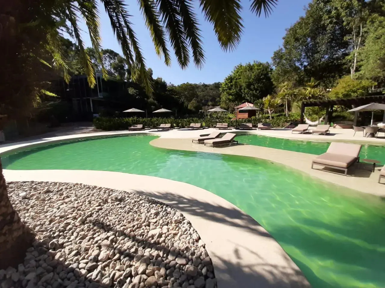 Photo - Unique Garden