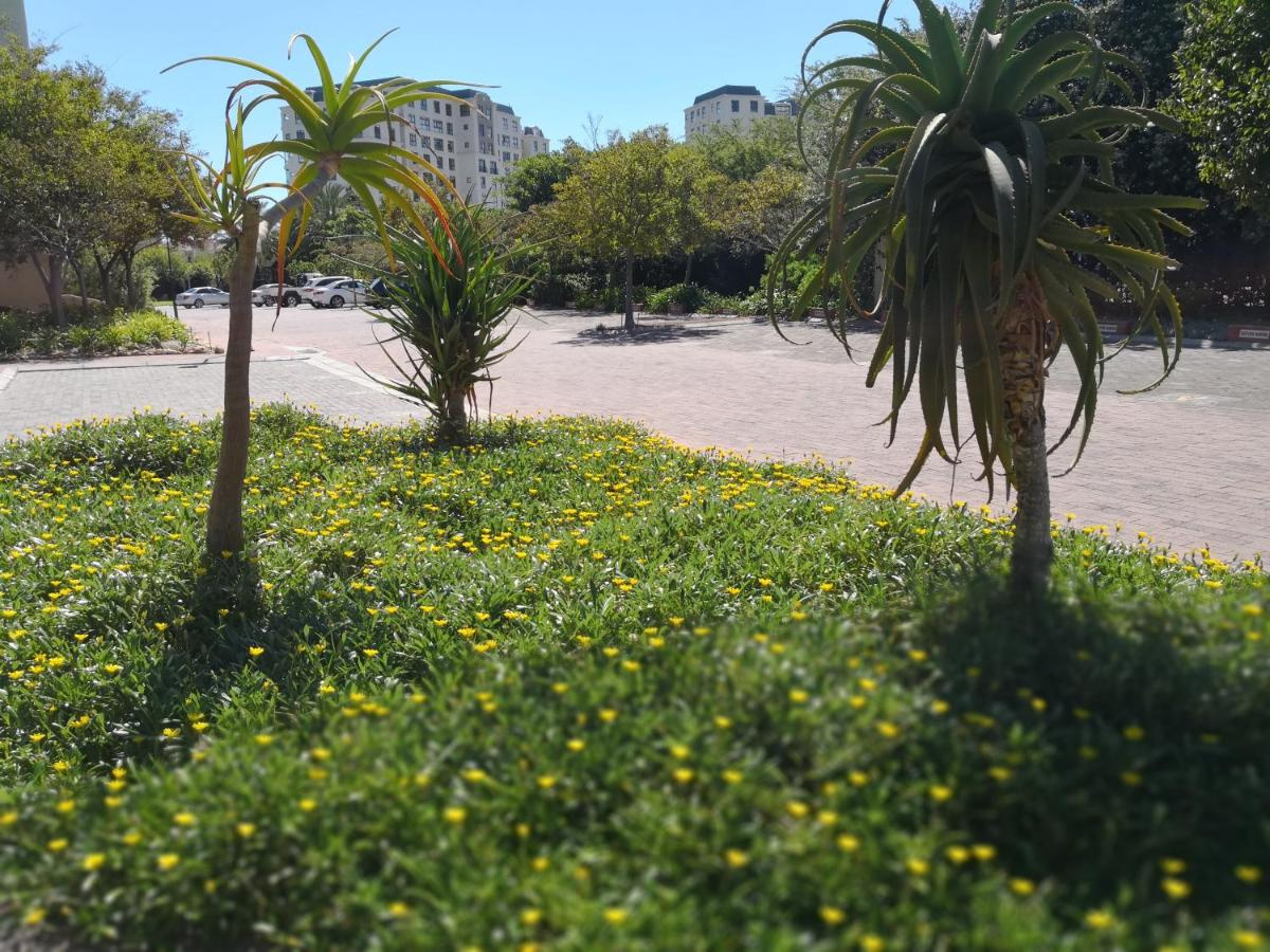 Foto - Majorca Apartments by BON Hotels