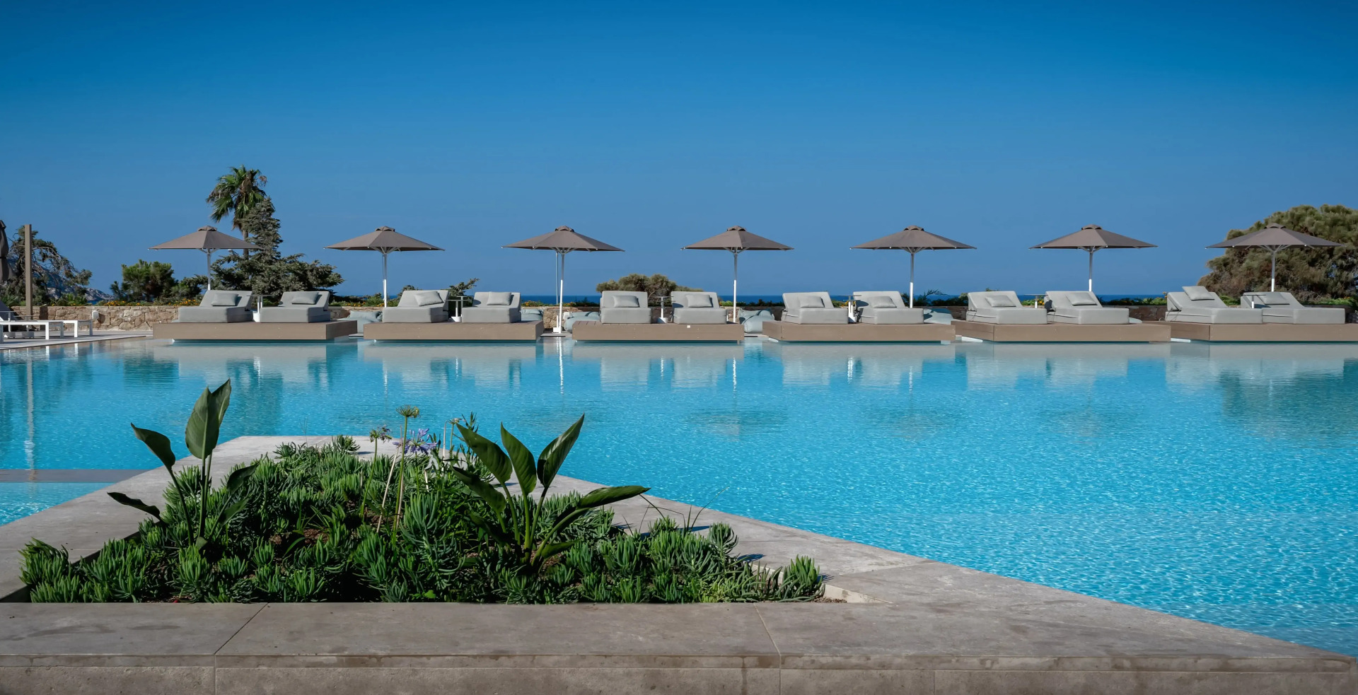 Foto - Vincci EverEden