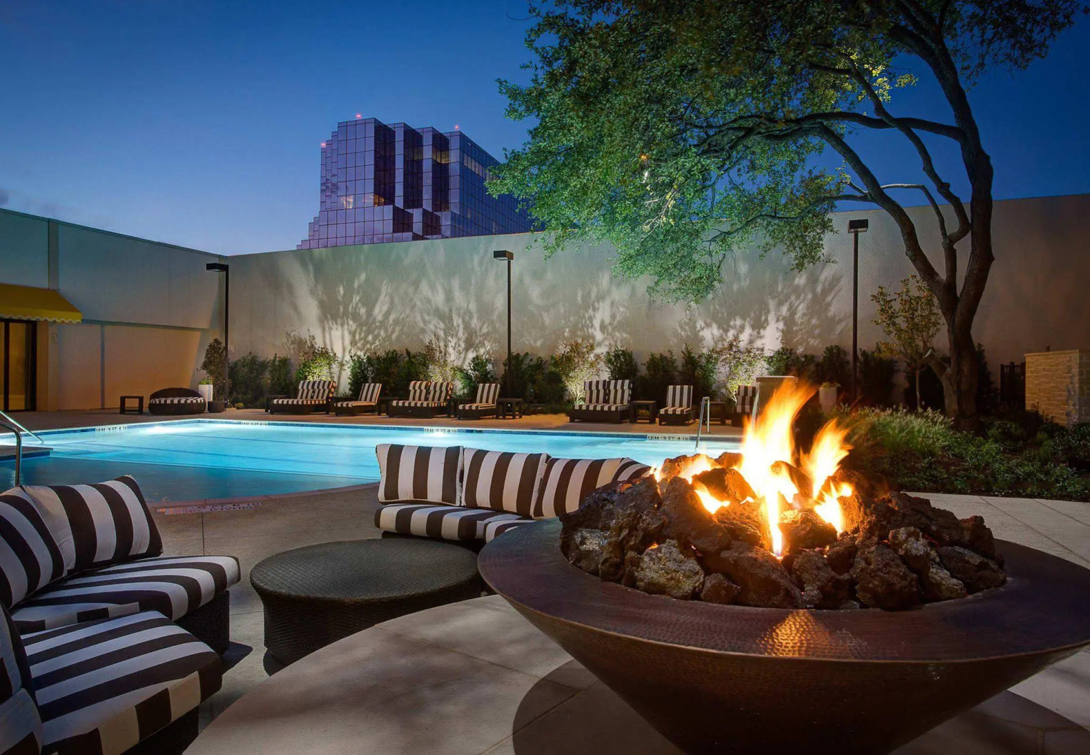 Foto - Dallas-Addison Marriott Quorum by the Galleria