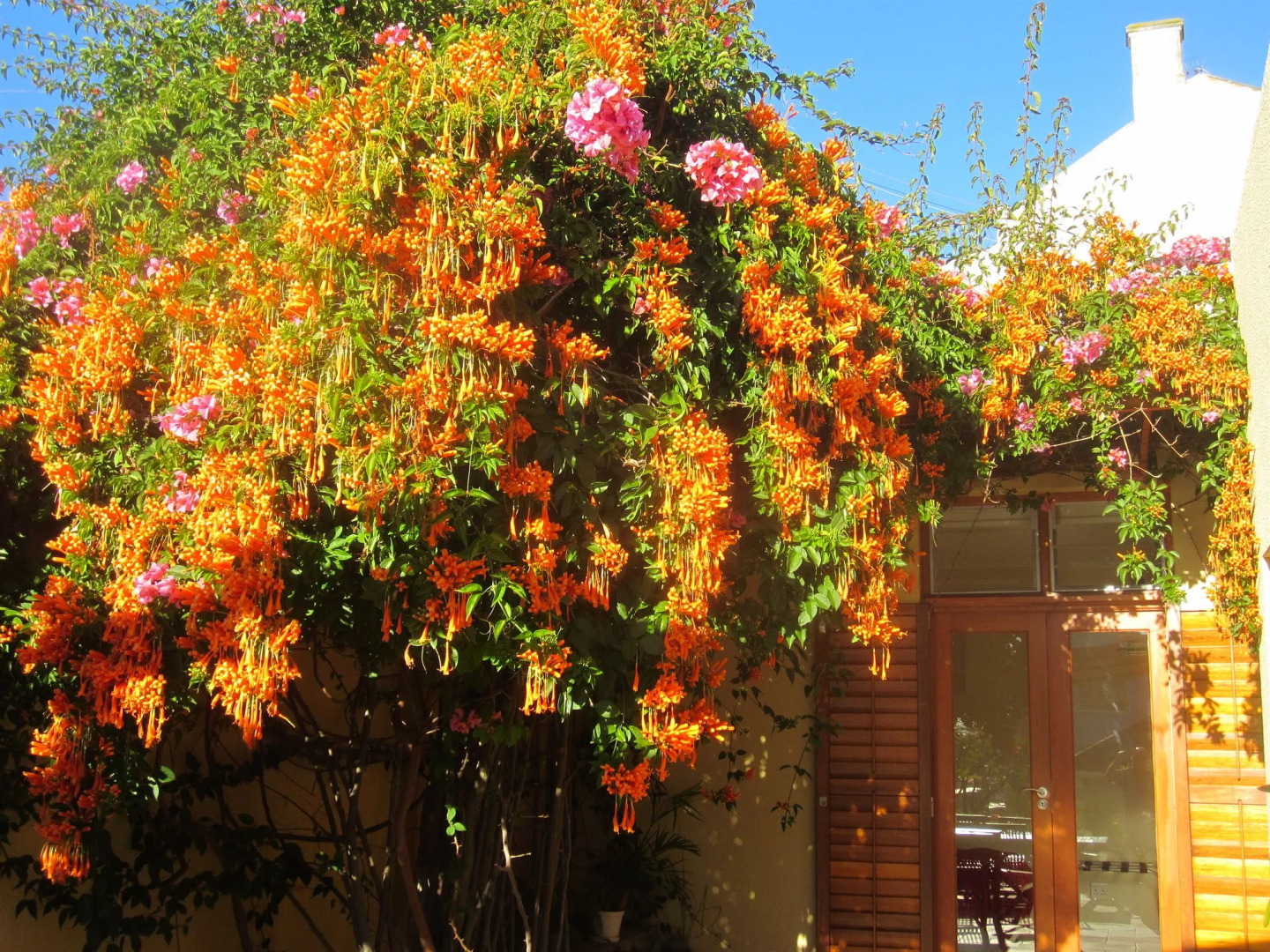 Foto - LOLOHO LODGE - 24h solar power