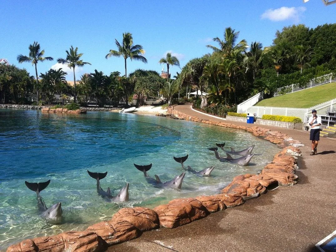 Photo - Sea World Resort