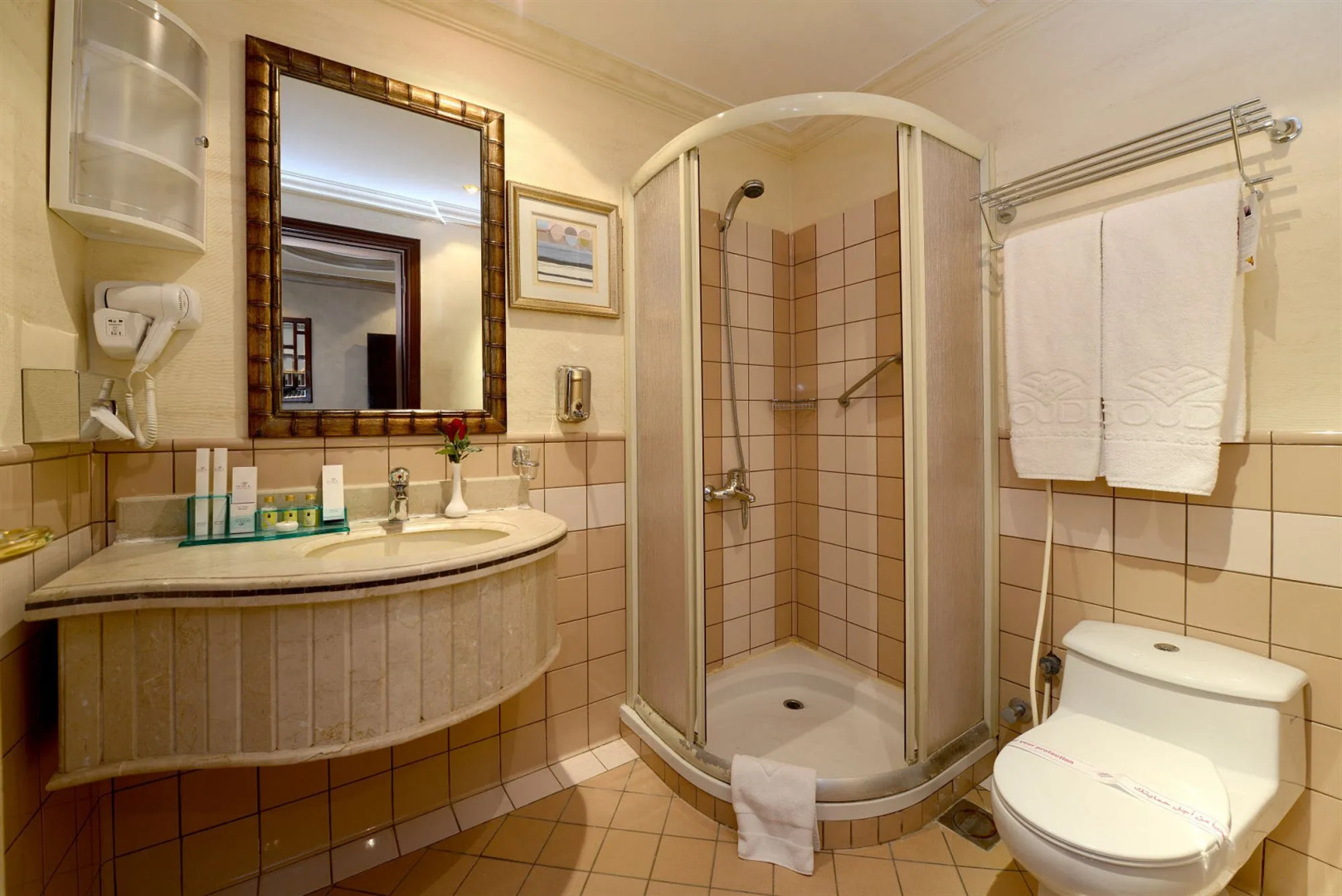 Foto - Boudl Al Olaya